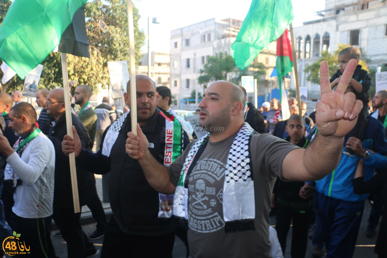 yaffa modahara jeq (92).jpg